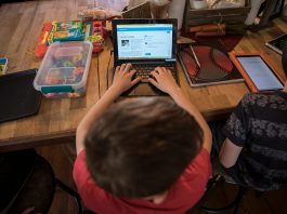 The Role of Technology in Educating Young Minds Online