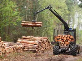Importance of Technology in the Logging Industry