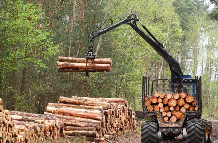 Importance of Technology in the Logging Industry