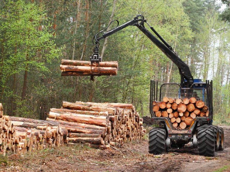 Importance of Technology in the Logging Industry - Importance of Technology